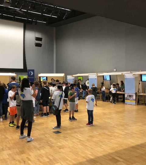 Ausstellung in Niedersulz