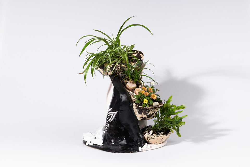 Schmetterlings-Blumen